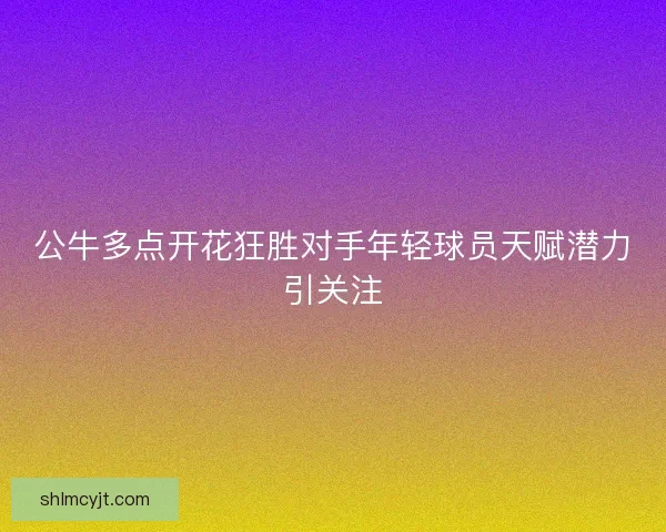 公牛多点开花狂胜对手年轻球员天赋潜力引关注 公牛多点开花狂胜对手年轻球员天赋潜力引关注